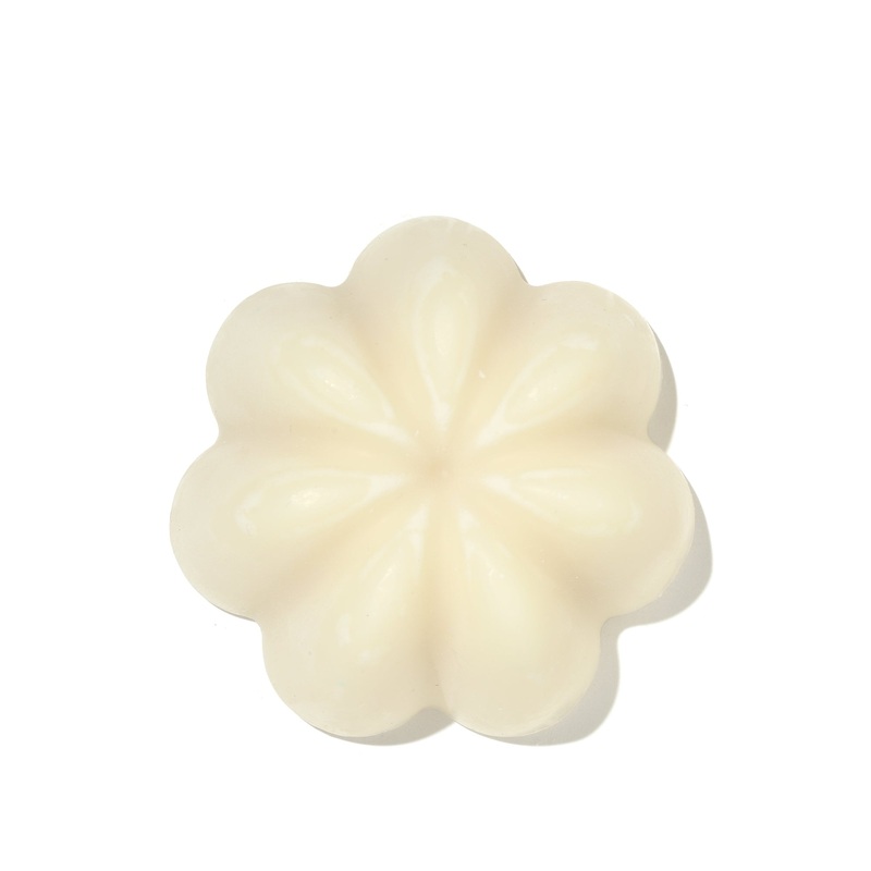 Gentle Solid Shampoo 100g