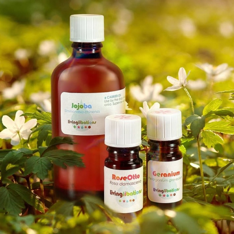 Jojoba Organic Carrier Oil – Living Libations 100ml