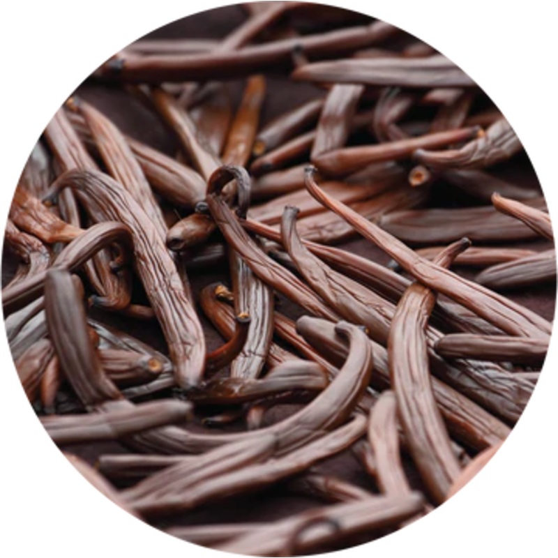 Vanilla Fusion Carrier Oil – Living Libations 15ml