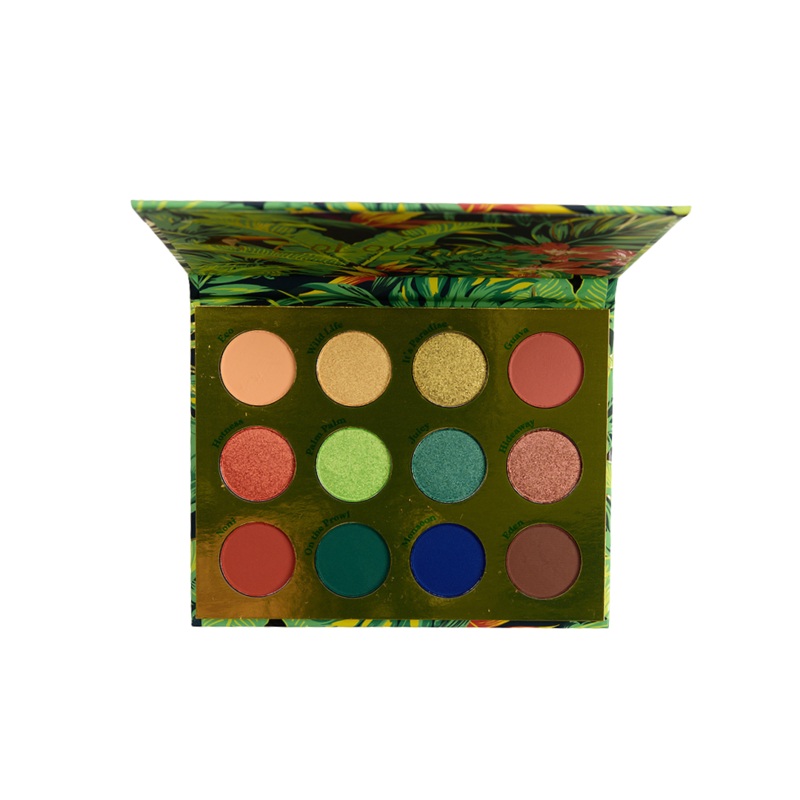 Lush Life Eyeshadow Palette Lush Life