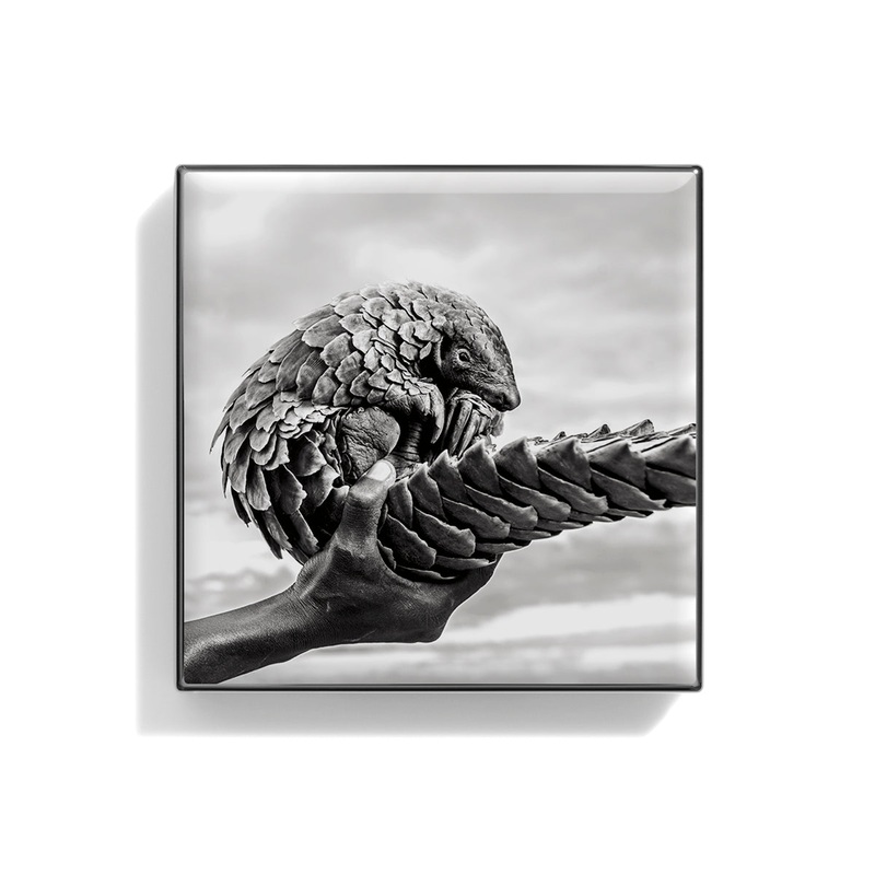 Luminescent Eye Shade Pangolin 2g