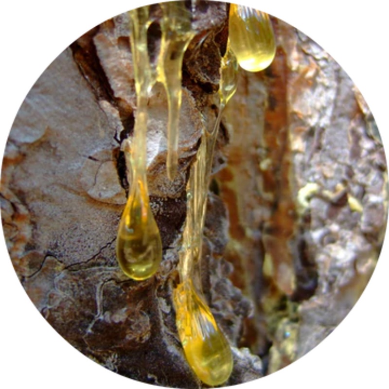 Myrrh Essential Oil – Living Libations 5ml