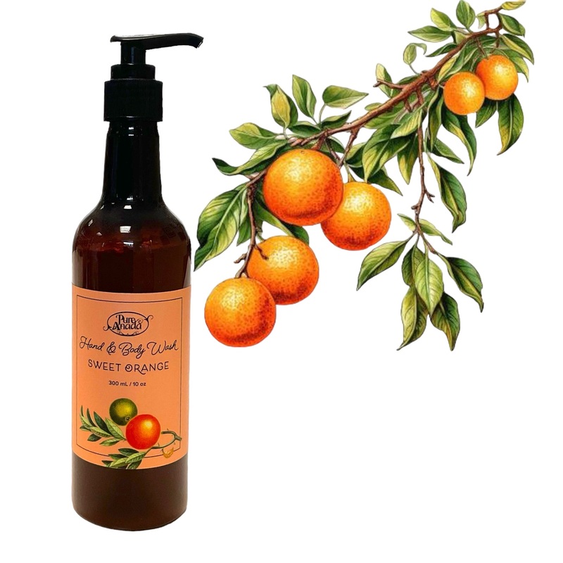 Sweet Orange Natural Hand & Body Wash 300ml – Pure Anada
