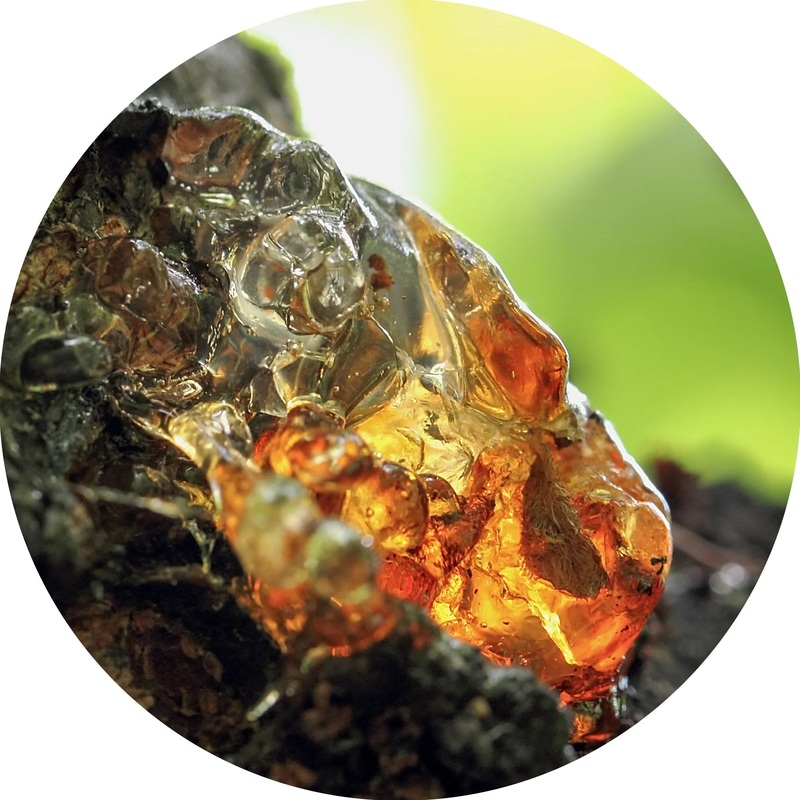 Omumbiri  Essential Oil- Living Libations 5ml